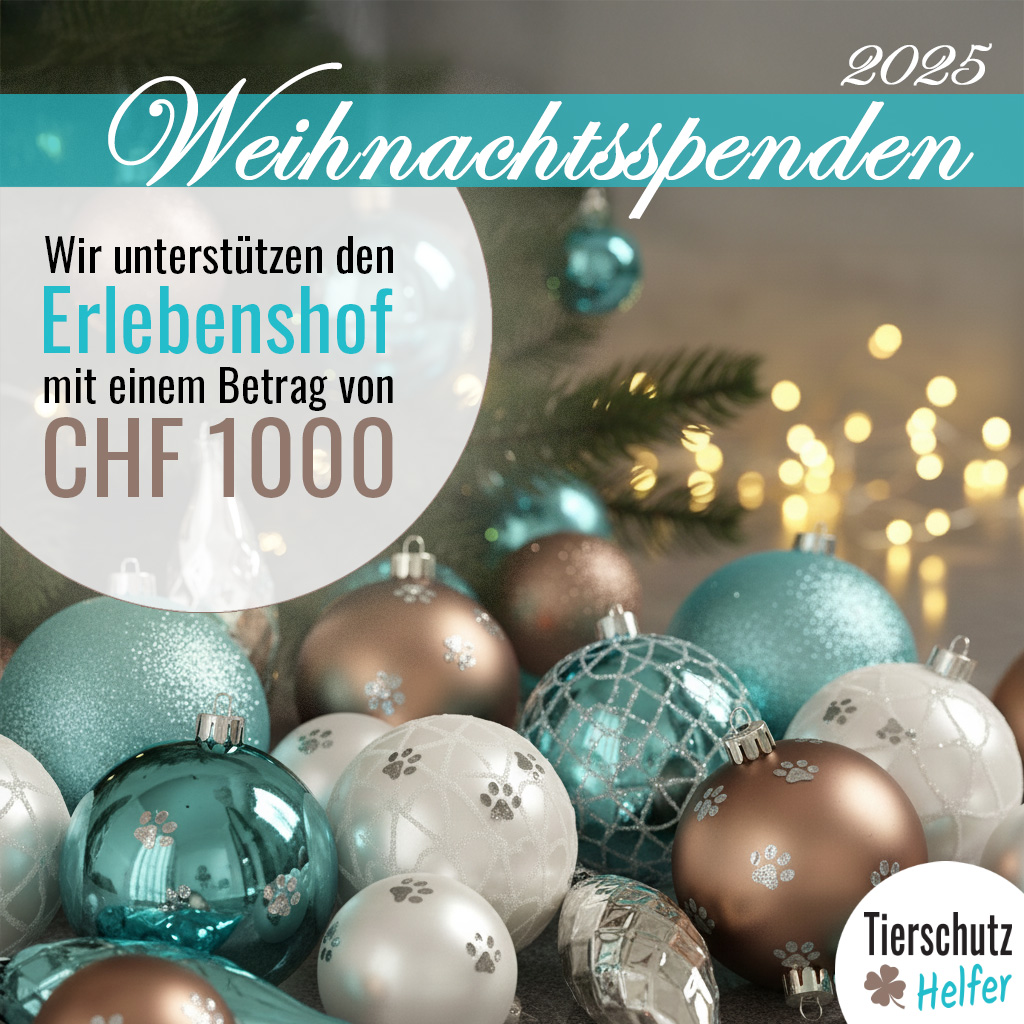 Tierschutz Spende Erlebenshof