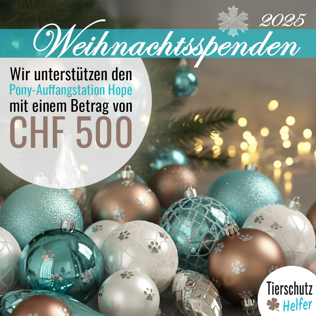 Tierschutz Spendenaktion