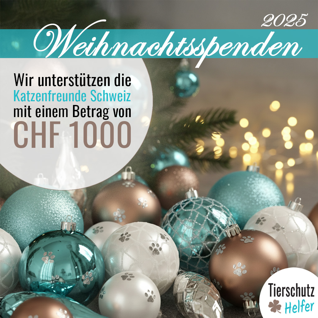 Weihnachtsspende Tierschutz