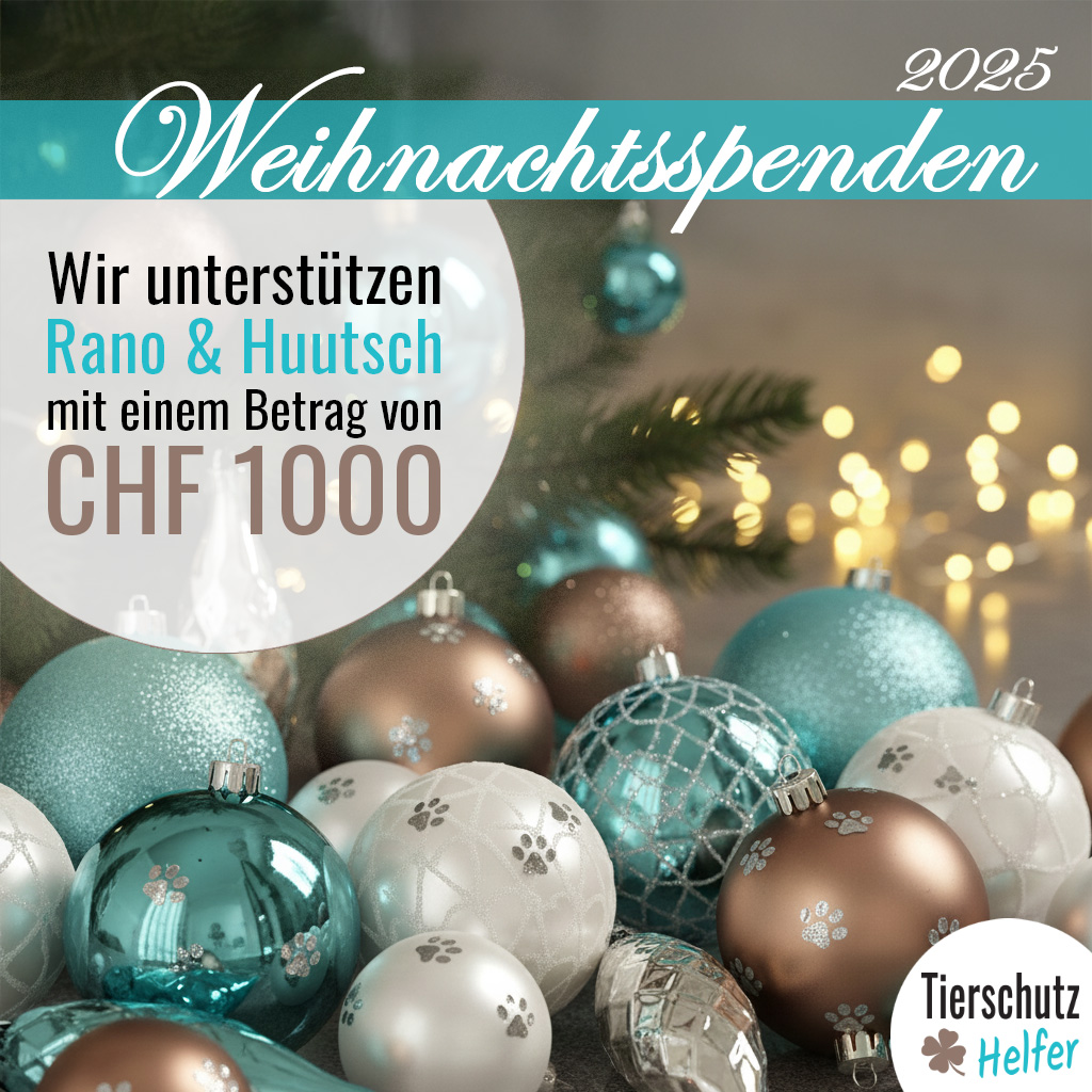 Weihnachtsspendenaktion für Tiere