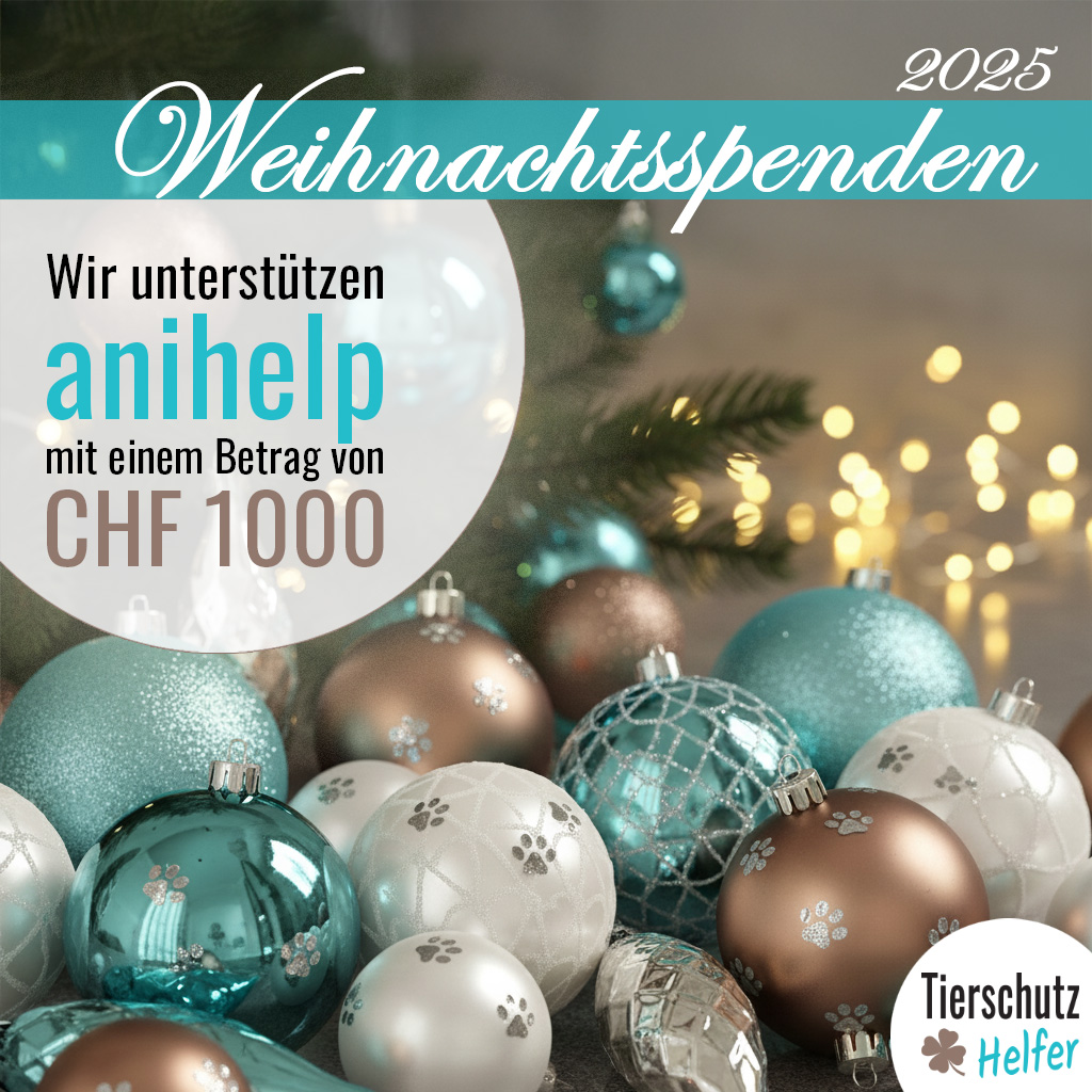 Tierschutz Spendenaktion