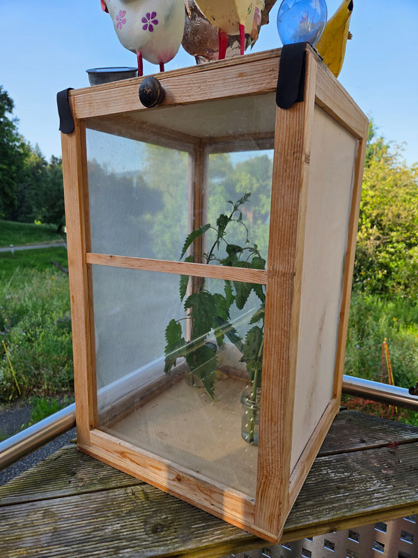 Aerarium bauen