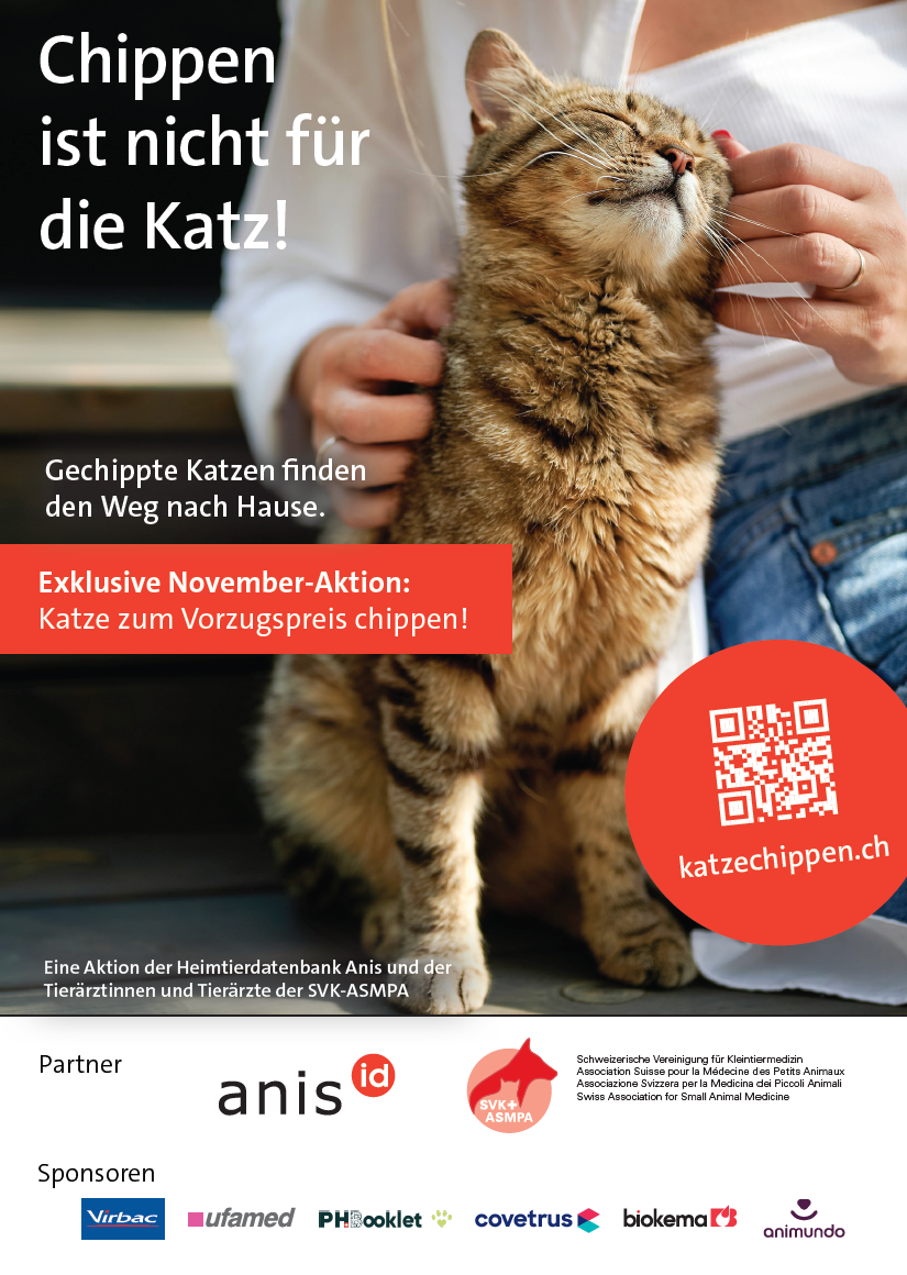 Katzenchipaktion 2026