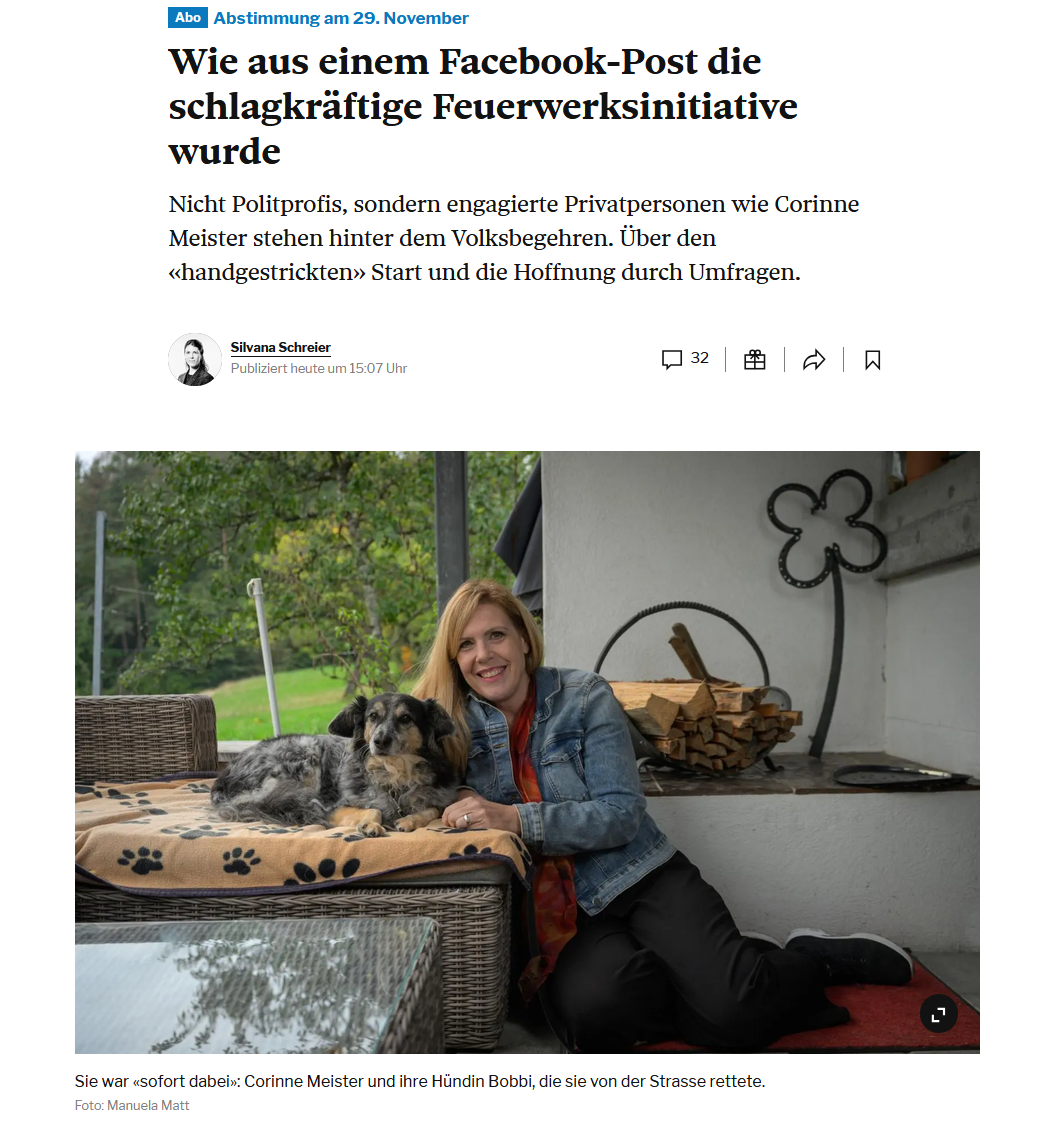 Tagesanzeiger - Feuerwerksinitiative: Die Frau hinter der Volksinitiative