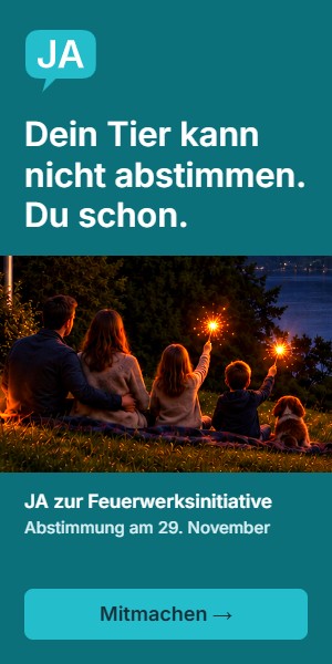 Feuerwerksinitiative JA