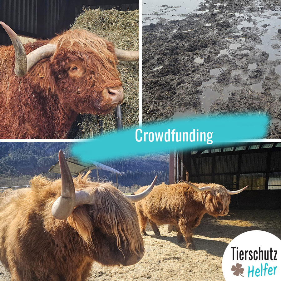 Crowdfunding für den Hof Allegro