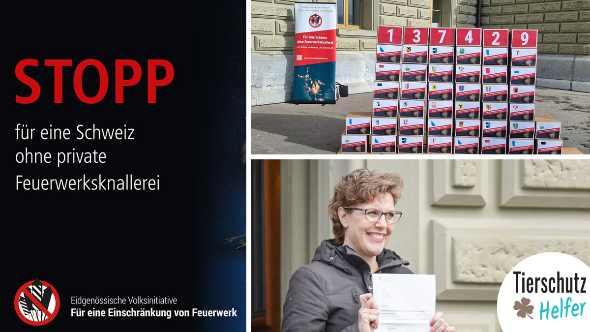 Einreichung Feuerwerksinitiative