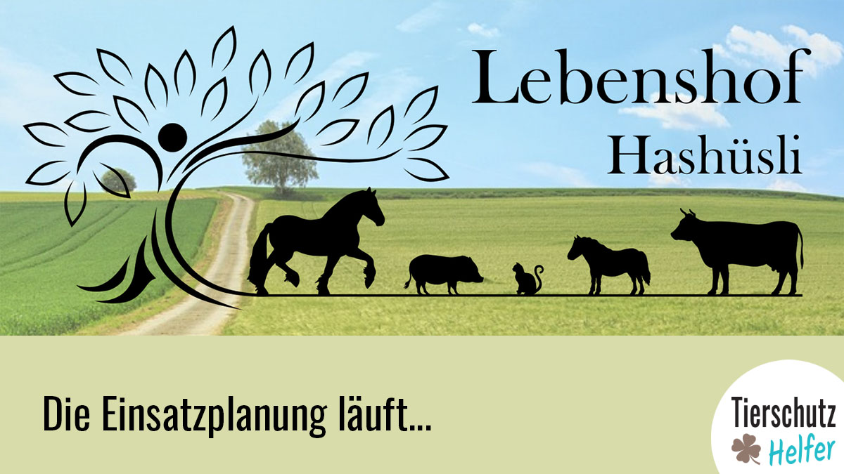 Einsatzplanung Lebenshof Hashüsli 