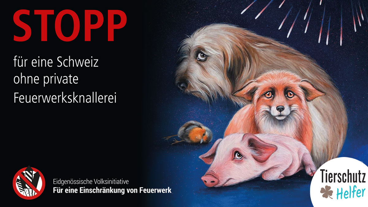 Kampagnenleitung Feuerwerksinitiative