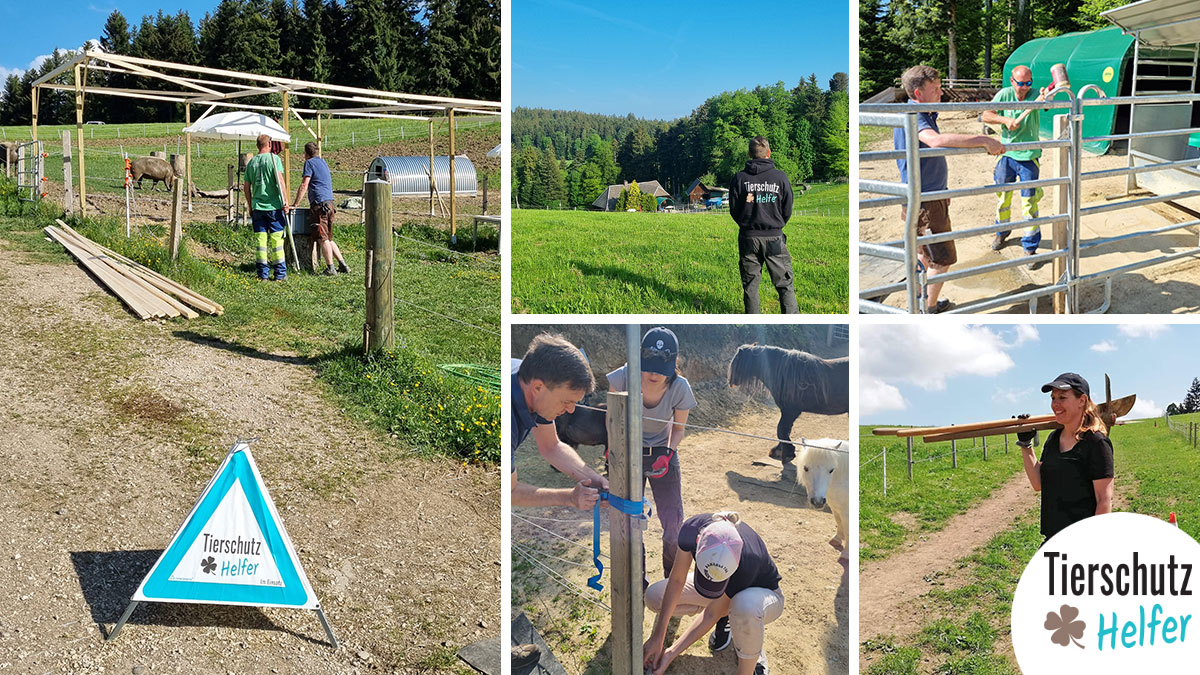 Lebenshof Hashüsli | Mai 2022