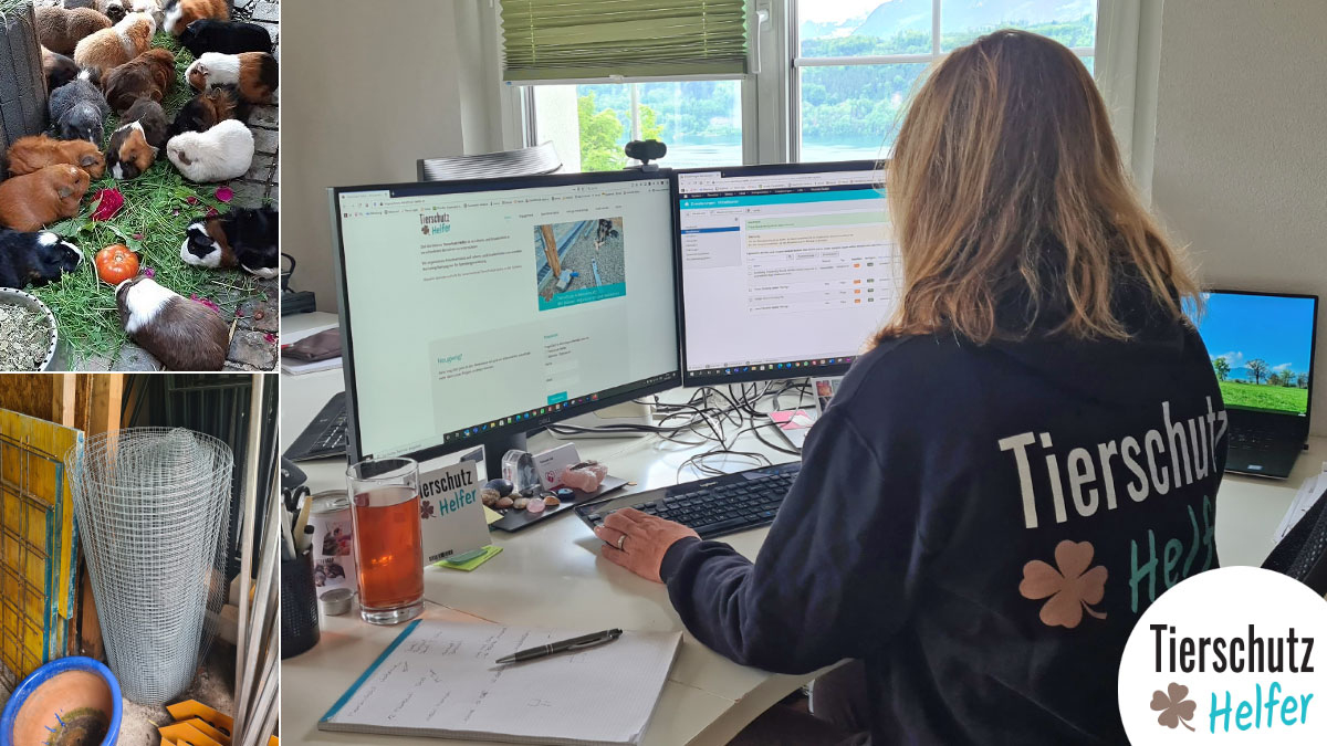 Tierschutz Einsatzplanung