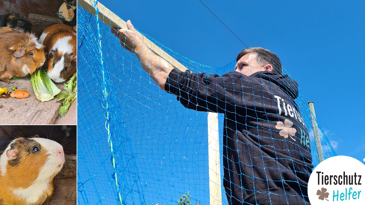 Tierparadies Schwaderloch | Mai 2021