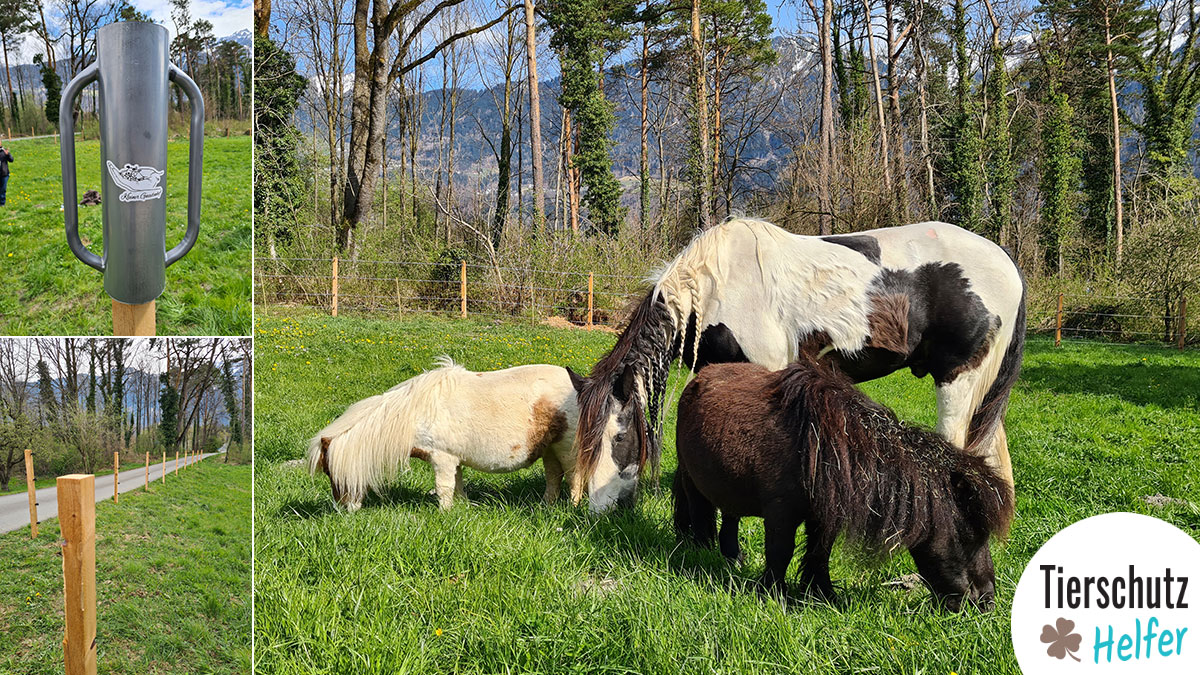Kleiner Gnadenhof | April 2021