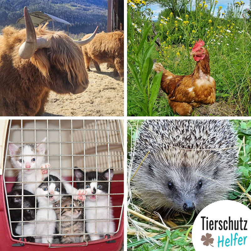 Welttierschutztag 2024 