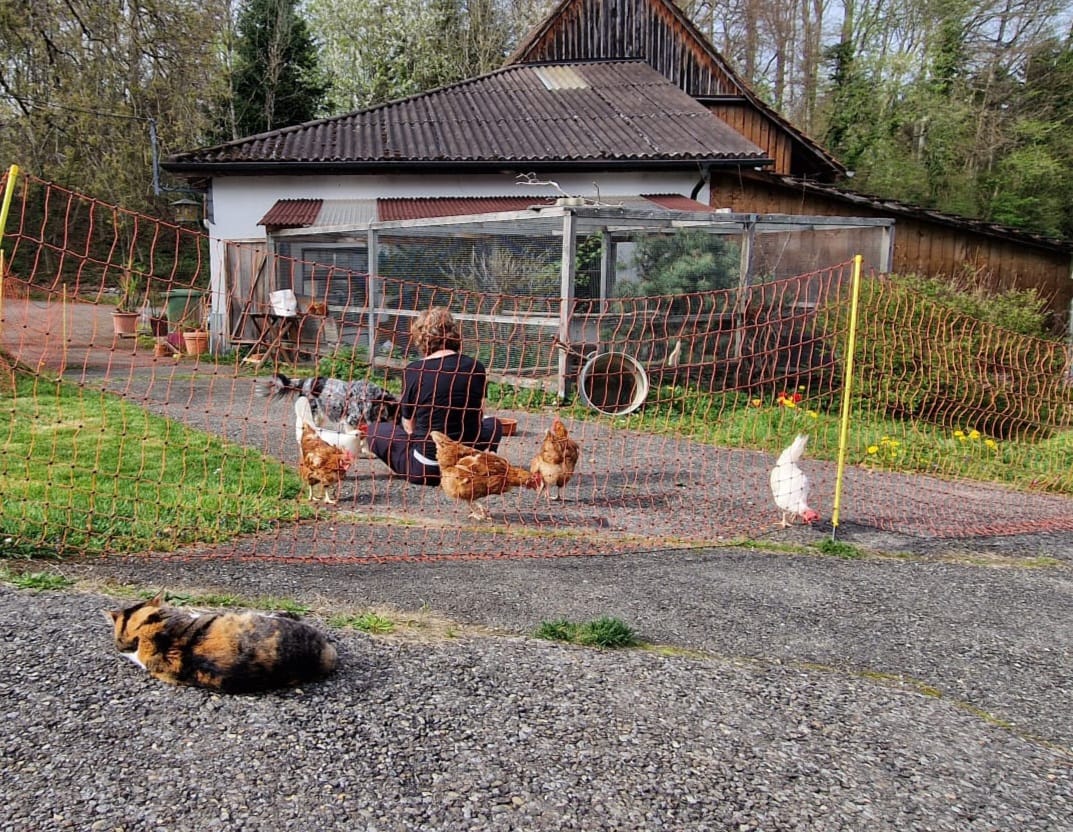 Igelhaus Fütterungsstelle für Igel