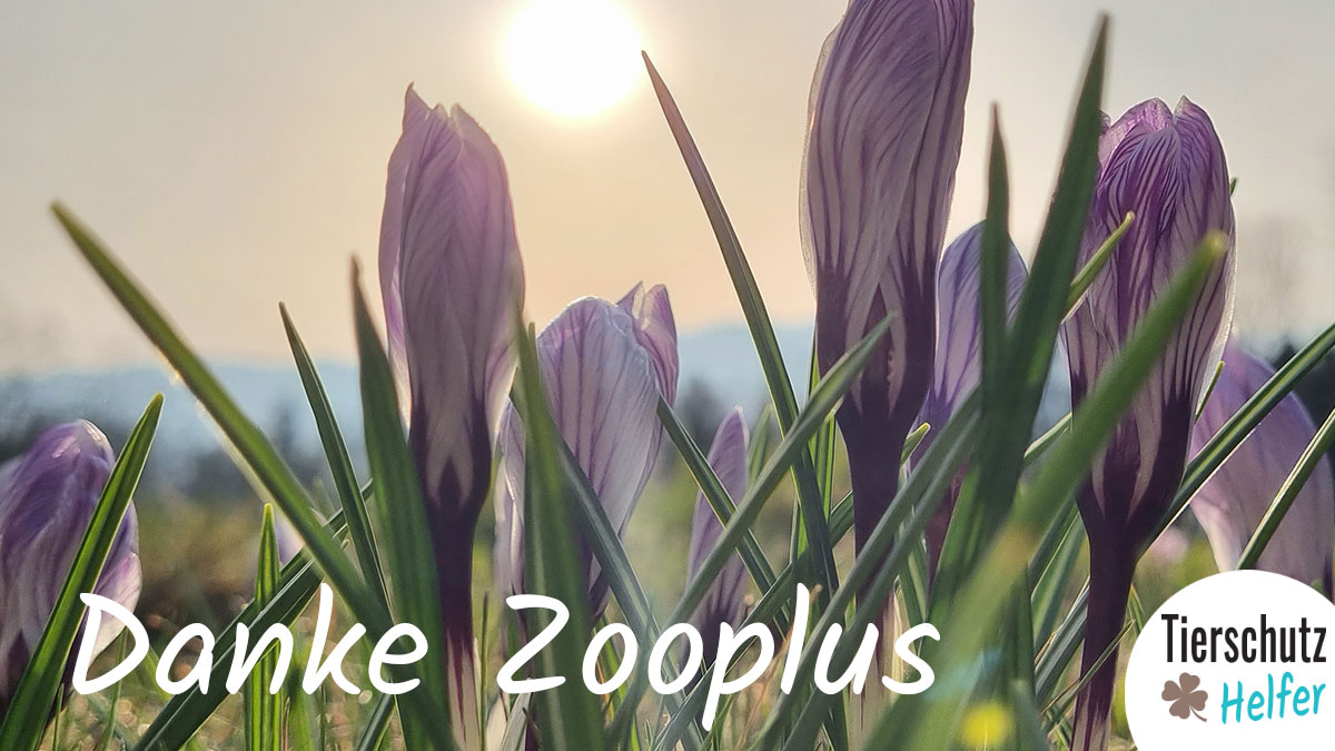 Spende von Zooplus