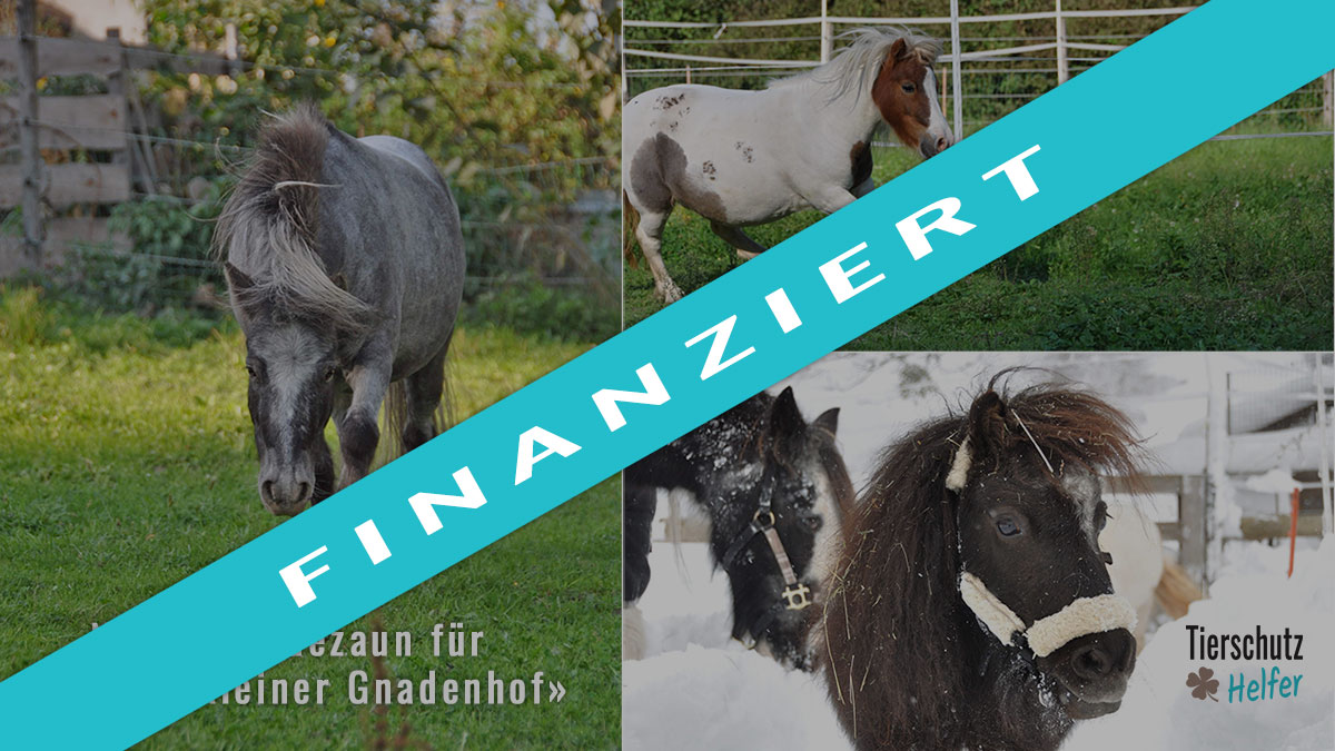 Tierschutz Spenden