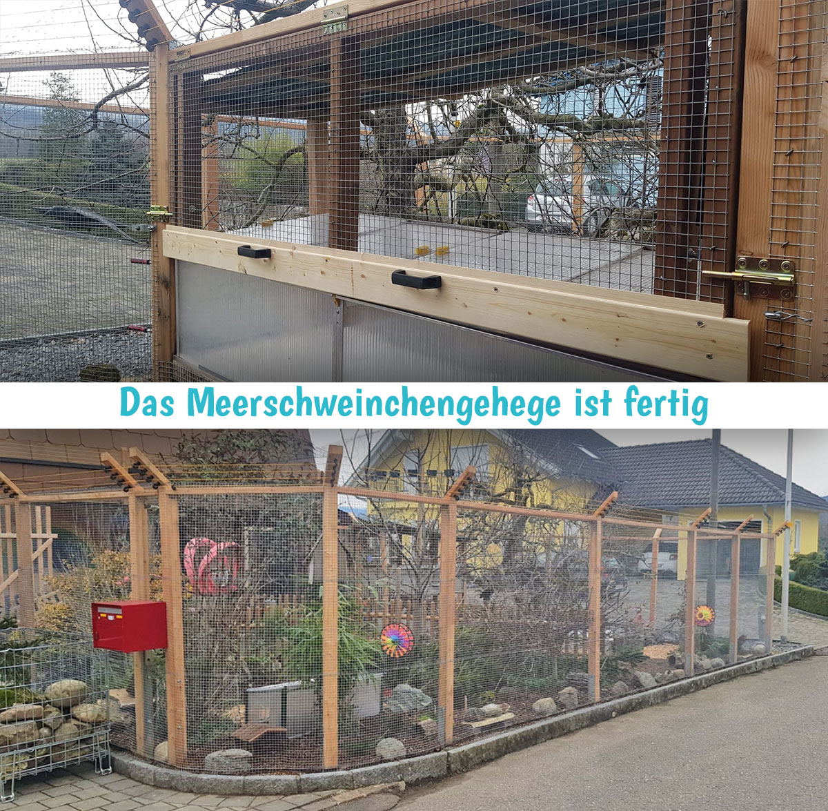 Meerschweinchen Gehege