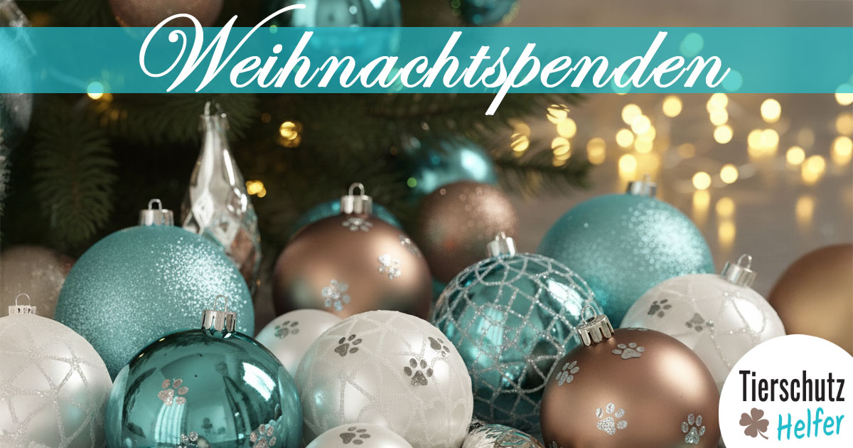 Tierschutz Weihnachtsaktion 