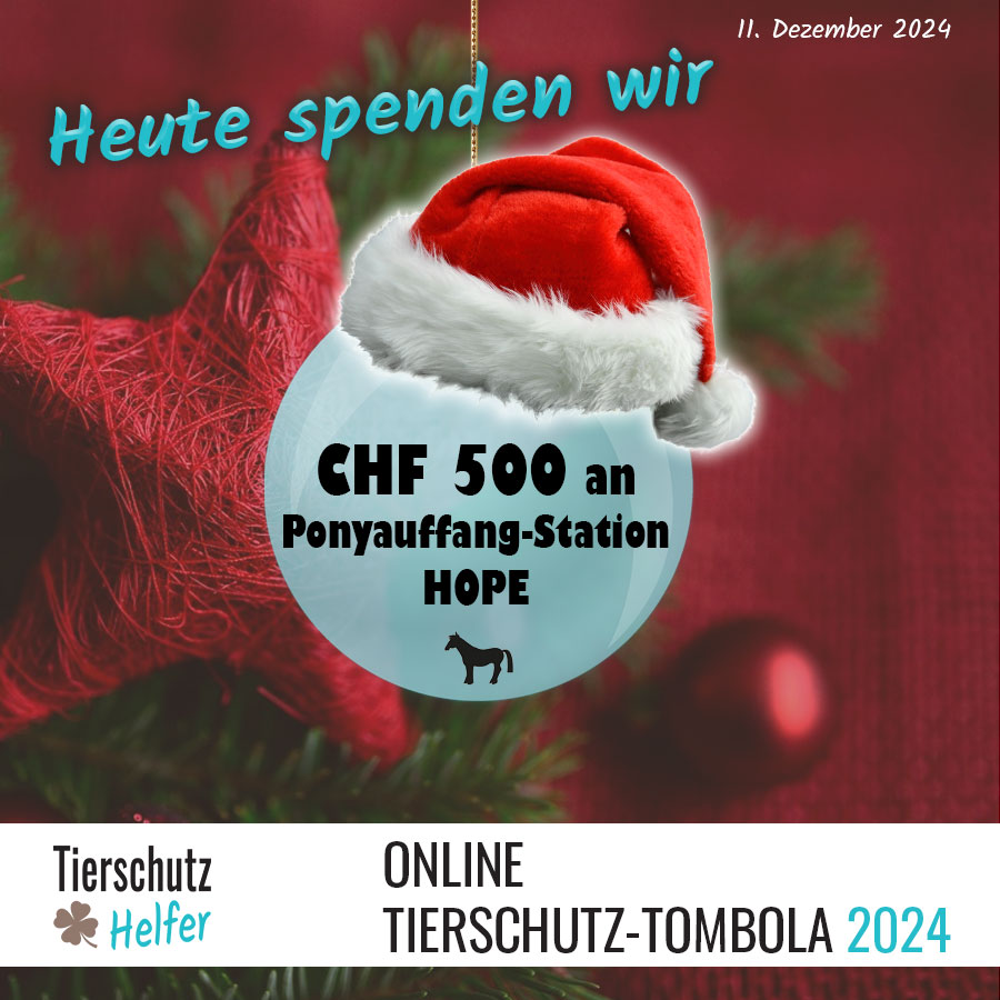 Spende an Ponyauffangstation Bad Ragaz