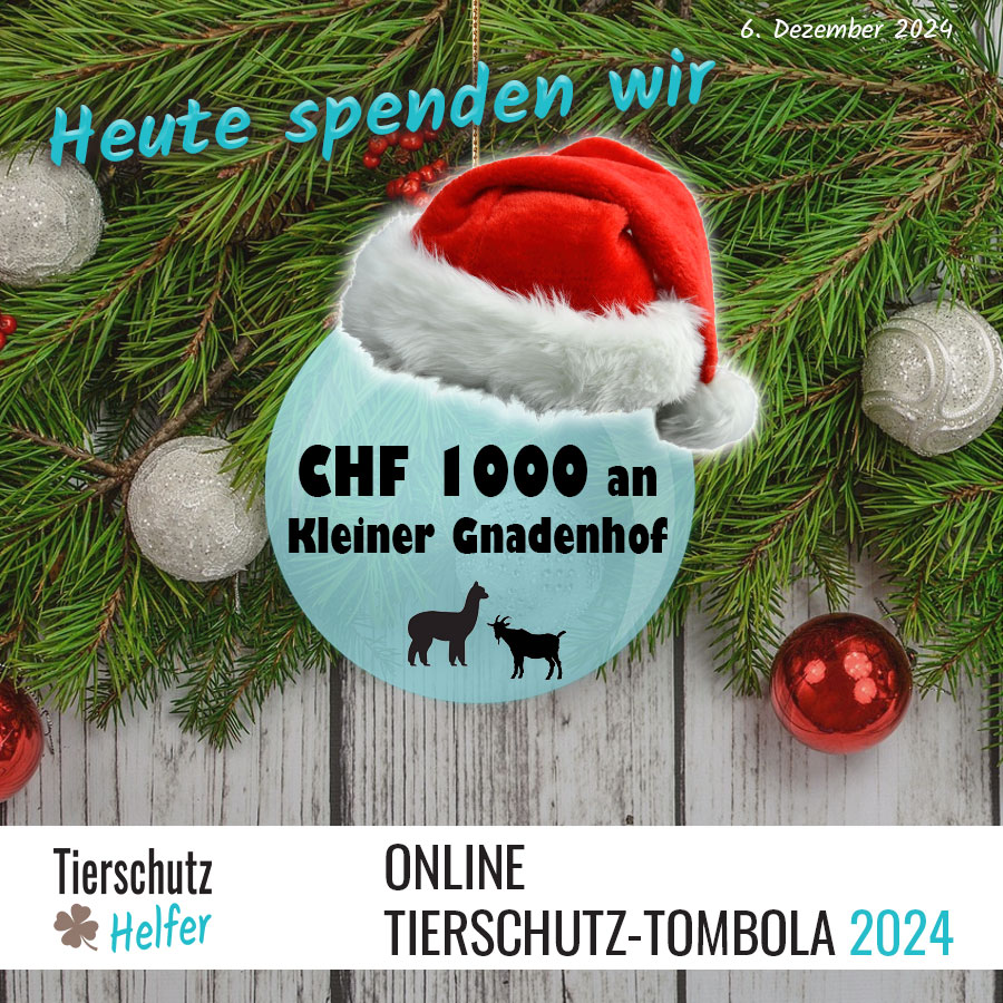 Spende für Gnadenhof im Rheintal