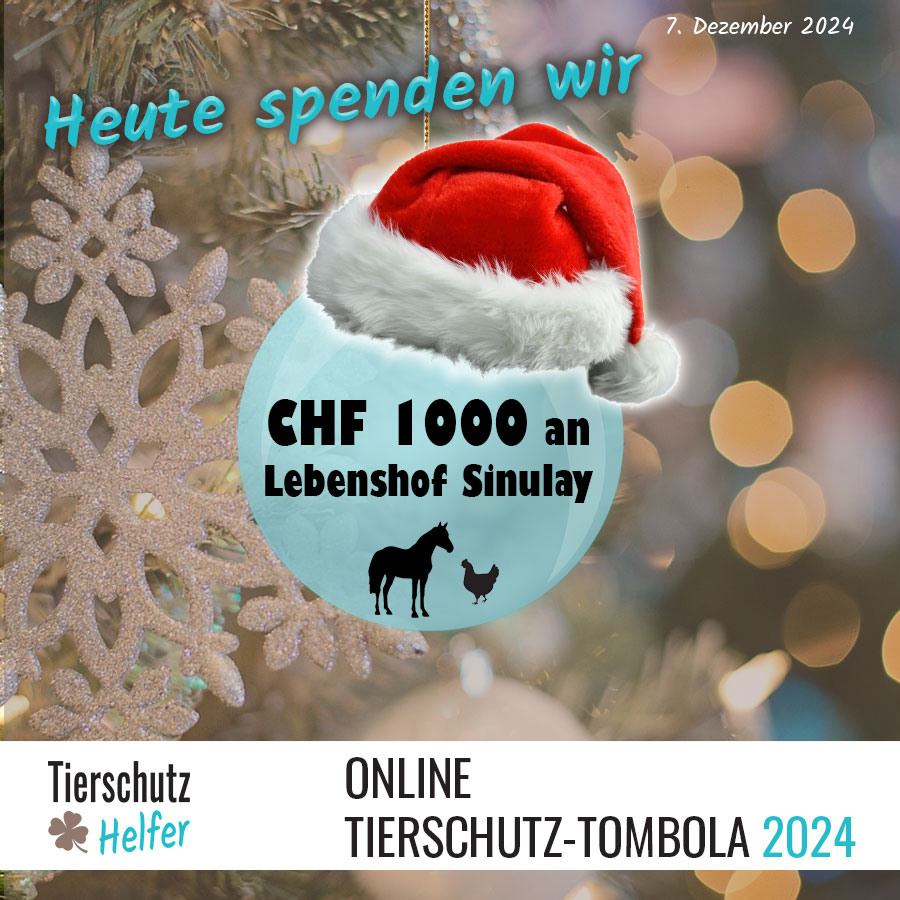 Spende für Lebenshof