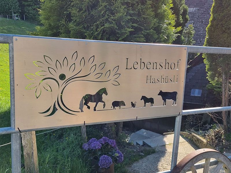 Lebenshof Hashüsli