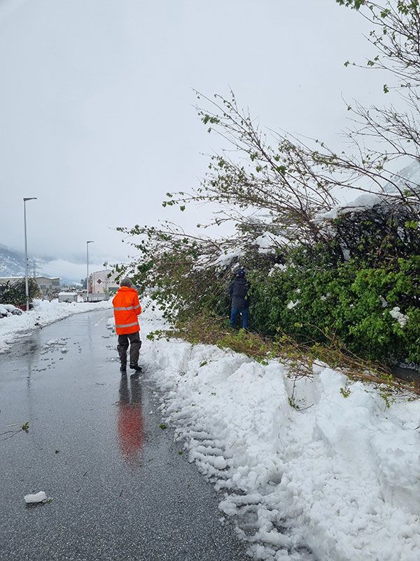 Tierschutz Einsatz Wallis