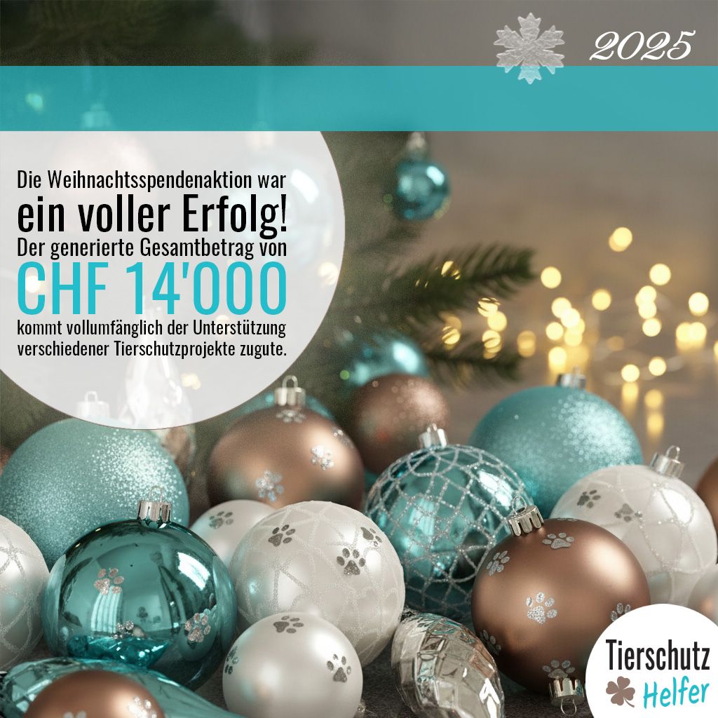 Tierschutz Weihnachtsspende
