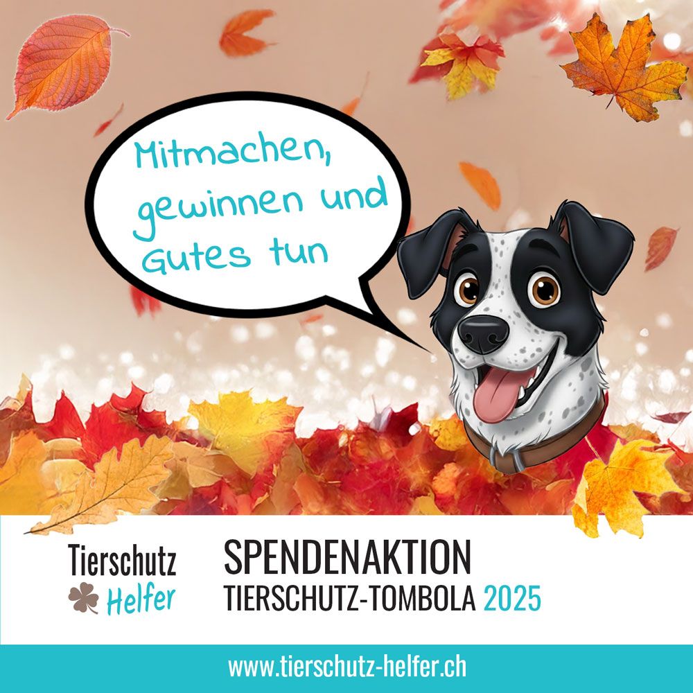 Spendenaktion Tierschutz 2025