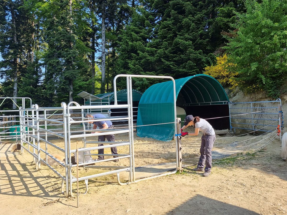 Tierschutz Helfertag Lebenshof Hashüsli